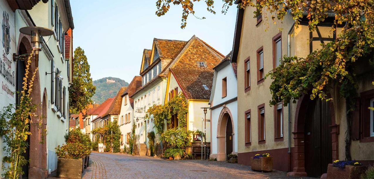 Hotel Rhodter Adler Rhodt unter Rietburg Luaran gambar