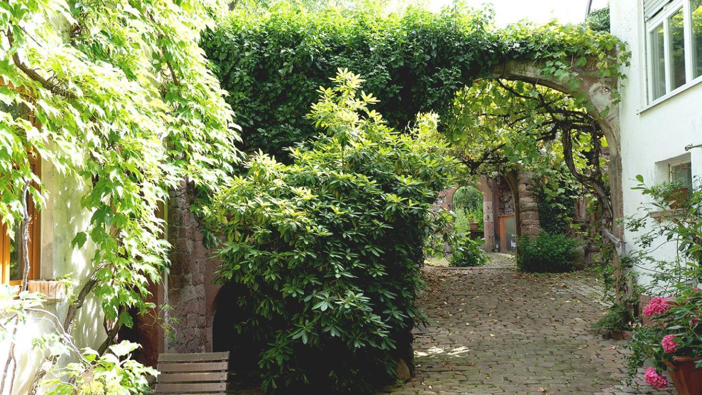 Hotel Rhodter Adler Rhodt unter Rietburg Luaran gambar